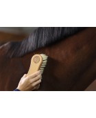 Bouchon large MAGIC BRUSH