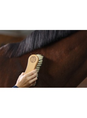 Bouchon large MAGIC BRUSH
