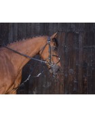 Gogue à poulies RIDING WORLD cuir