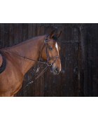 Gogue à poulies RIDING WORLD cuir