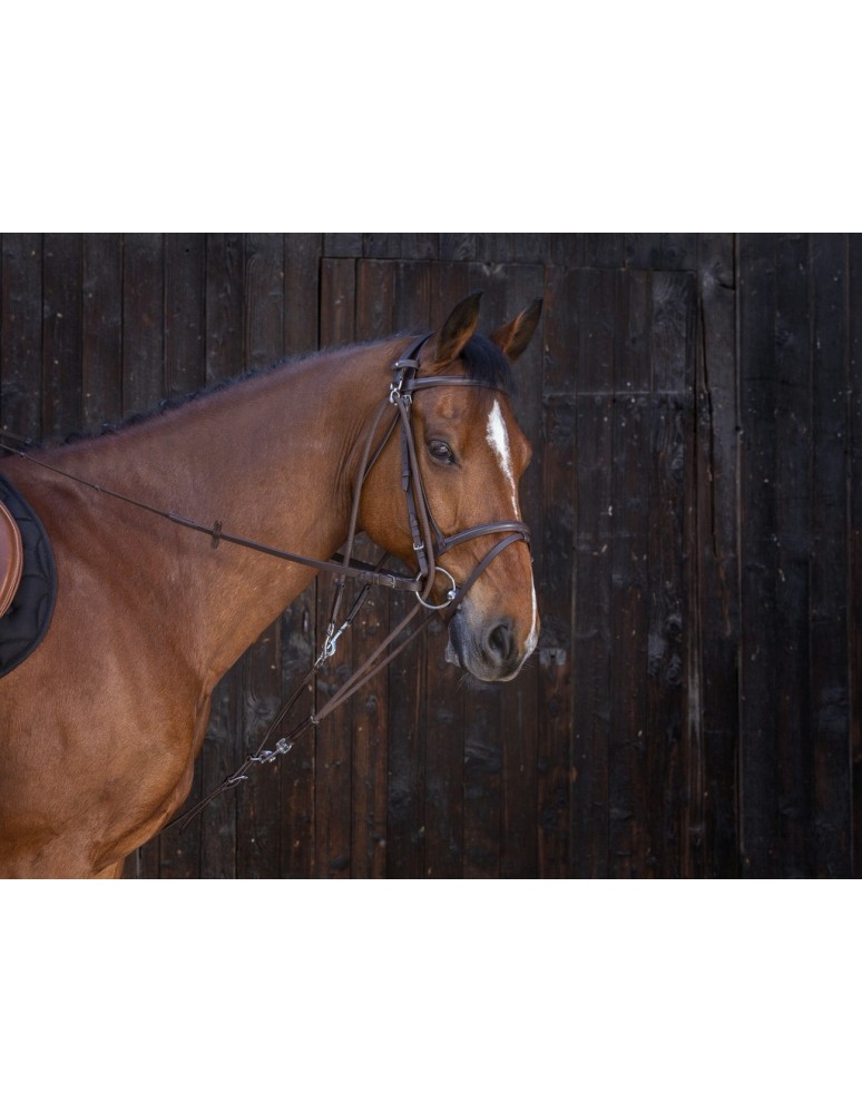 Gogue à poulies RIDING WORLD cuir