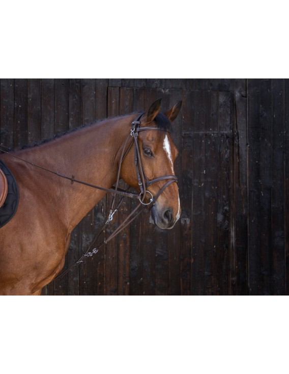 Gogue à poulies RIDING WORLD cuir