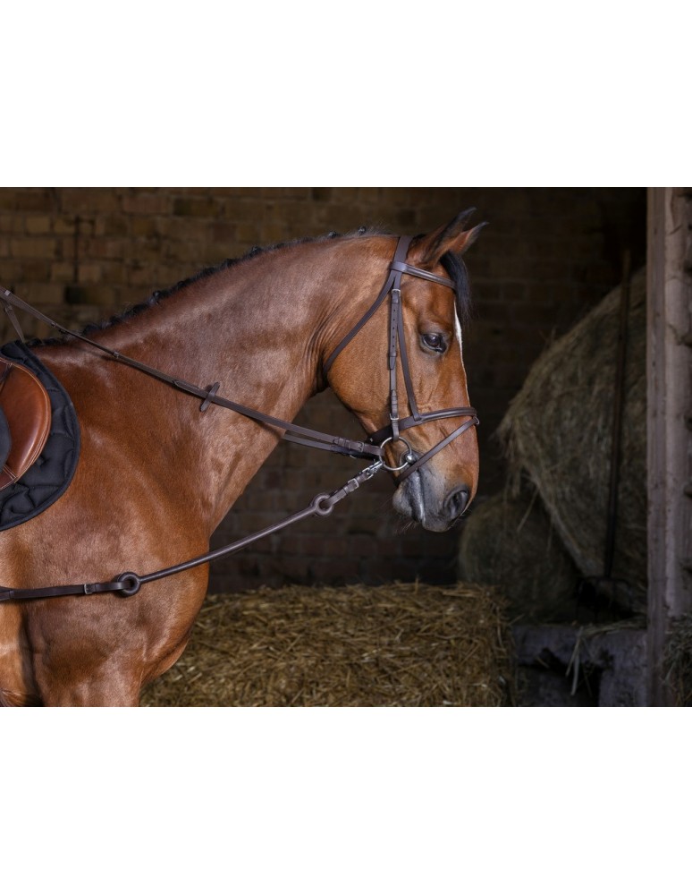 Enrênement type PIRELLI caoutchouc et cuir RIDING WORLD