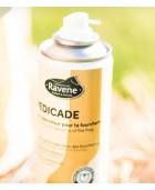 Pedicade RAVENE