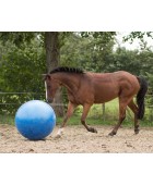 Ballon chevaux QHP "Géant"