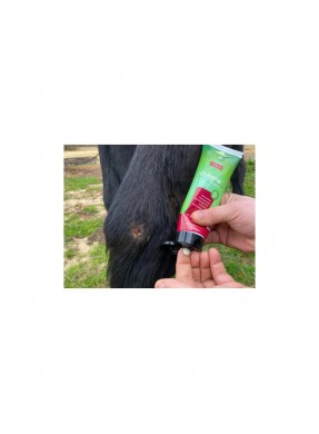 Crème cicatrisante ANIMA DERM "Cutene"