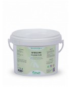 Spiruline en poudre NUTRAGILE