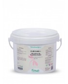 Curcuma en poudre NUTRAGILE "Curcuma +"