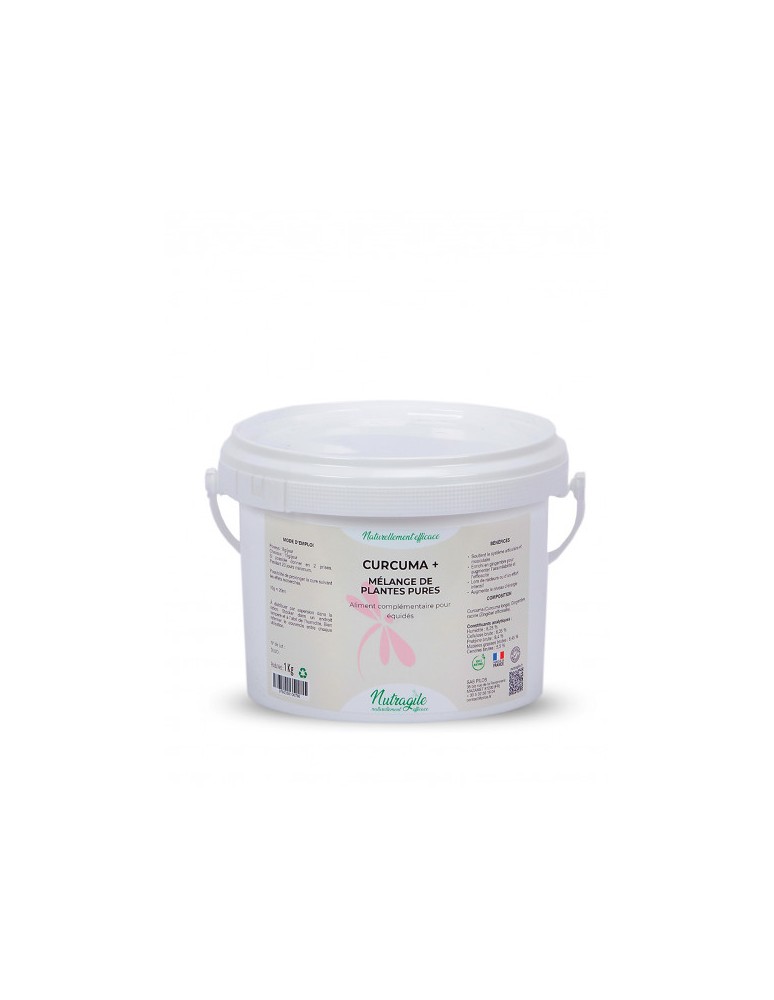 Curcuma en poudre NUTRAGILE "Curcuma +"