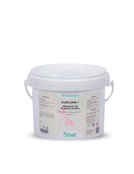 Curcuma en poudre NUTRAGILE "Curcuma +"