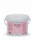 Pâte d'argile NUTRAGILE "DETOX"