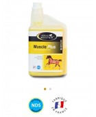 Muscle Plus HORSE MASTER