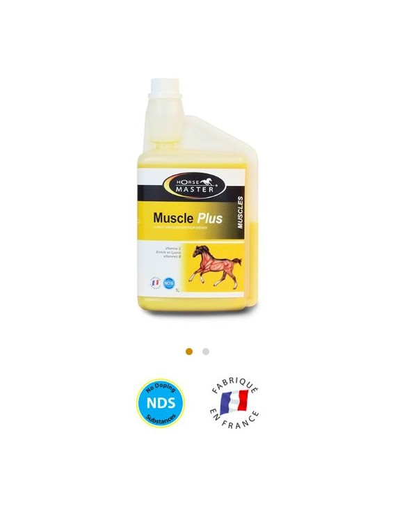 Muscle Plus HORSE MASTER