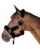 Licol mouton PRIVILEGE