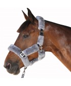 Licol mouton PRIVILEGE