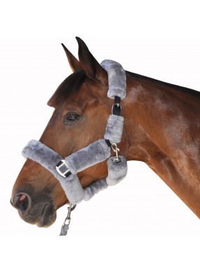 Licol mouton PRIVILEGE