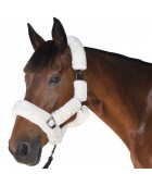 Licol mouton PRIVILEGE