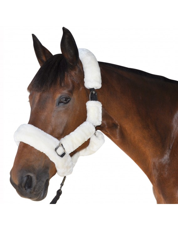 Licol mouton PRIVILEGE