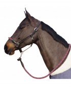 Licol CANTER "Corde"