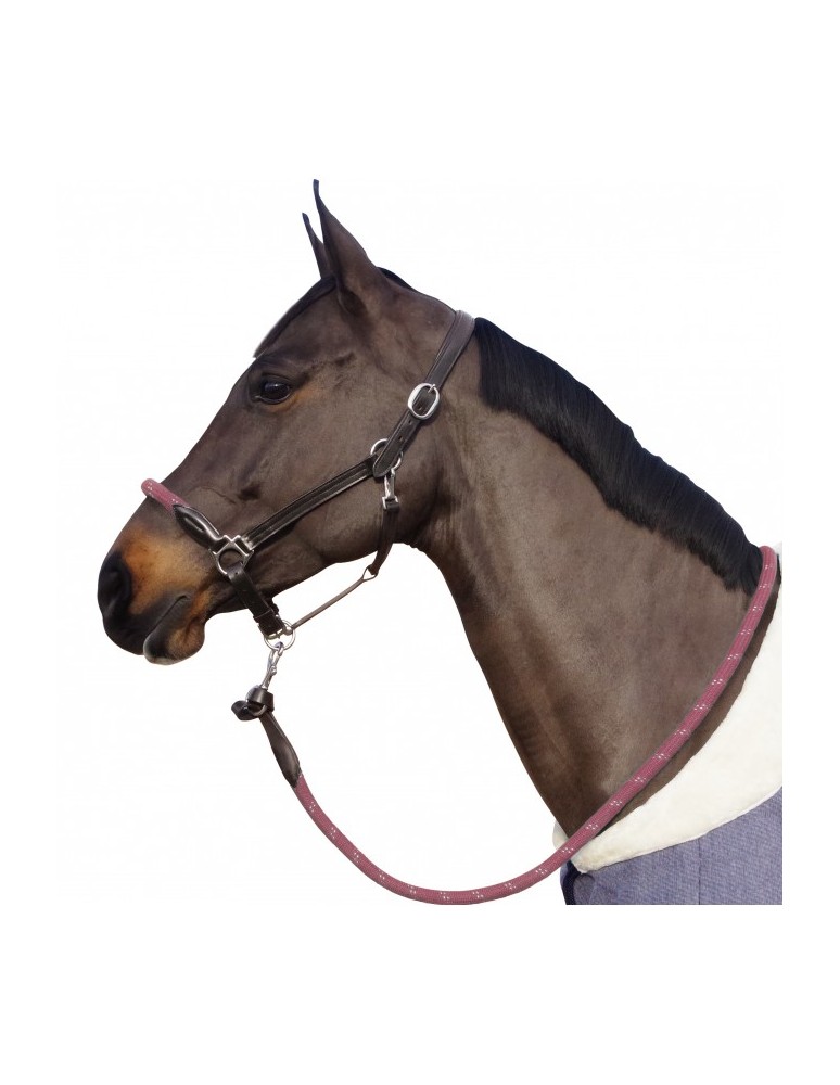 Licol CANTER "Corde"