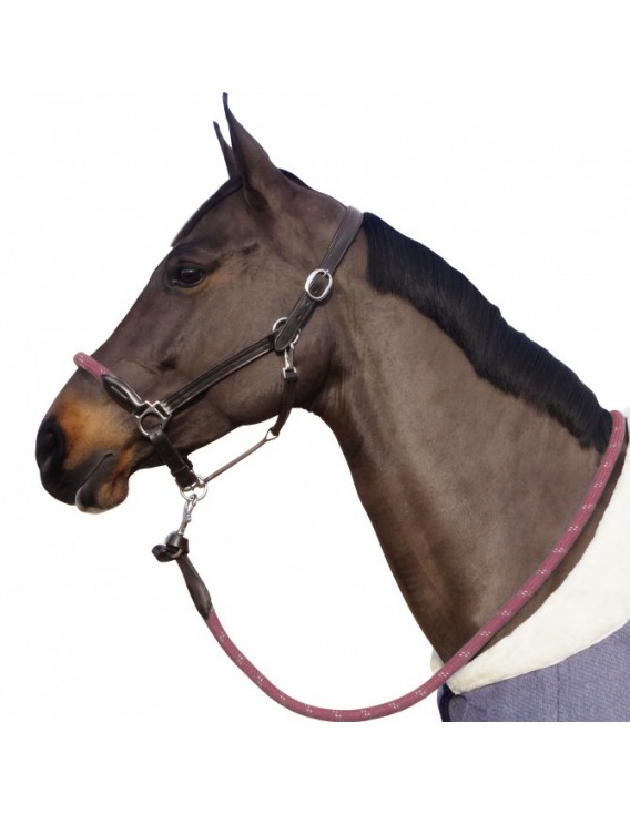 Licol CANTER "Corde"