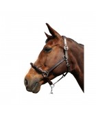 Licol CANTER "Corde"