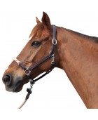 Licol CANTER "Corde"