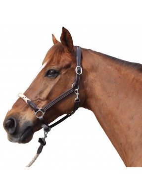 Licol CANTER "Corde"