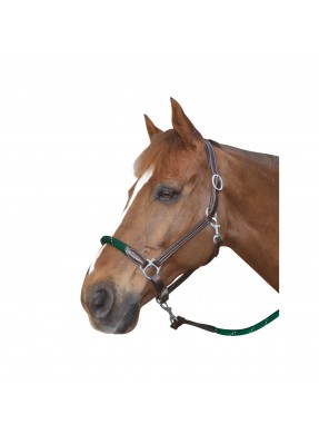 Licol CANTER "Corde"