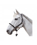 Licol CANTER "Corde"