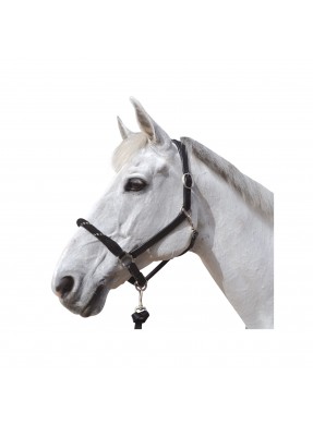 Licol CANTER "Corde"