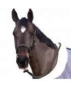 Licol CANTER "Corde"