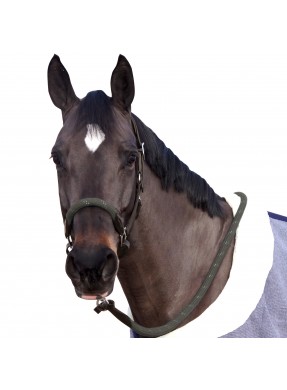 Licol CANTER "Corde"