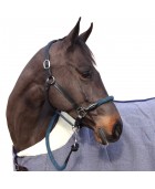 Licol CANTER "Corde"