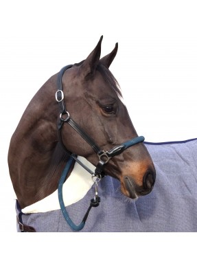 Licol CANTER "Corde"