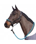 Licol CANTER "Corde"