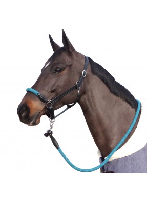 Licol CANTER "Corde"