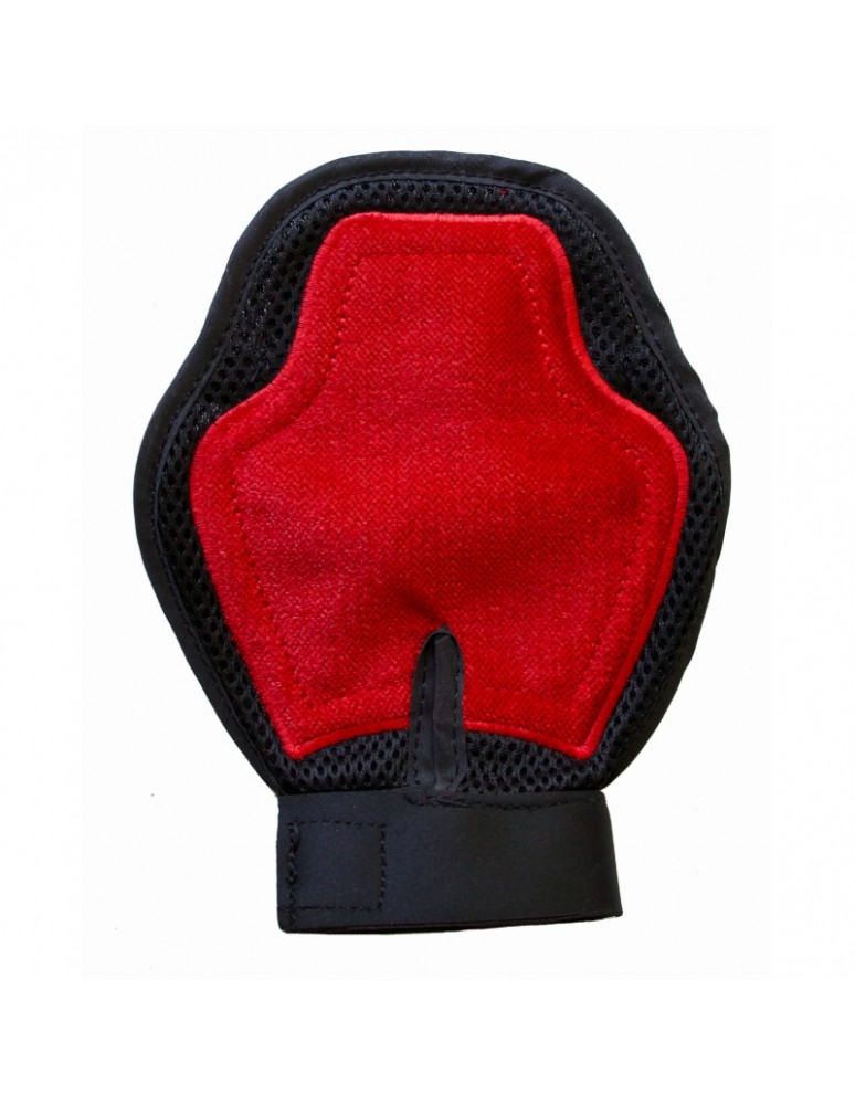 Gant de pansage TDET