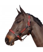 Licol nylon et cuir FLAGS & CUP