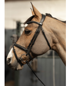 Bridon HFI PRO LINE "Milano"