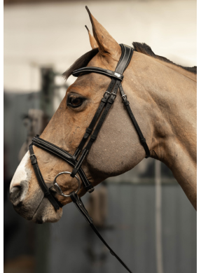 Bridon HFI PRO LINE "Milano"