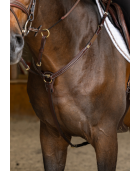 Collier de chasse HFI PRO LINE "Arrezo"