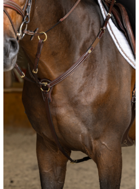 Collier de chasse HFI PRO LINE "Arrezo"