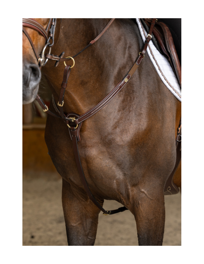 Collier de chasse HFI PRO LINE "Arrezo"