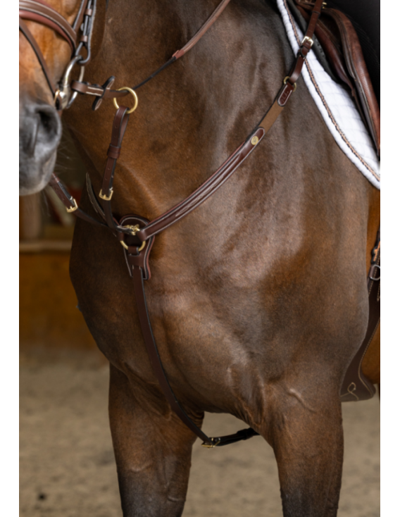 Collier de chasse HFI PRO LINE "Arrezo"