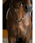 Collier de chasse HFI PRO LINE "Arrezo"