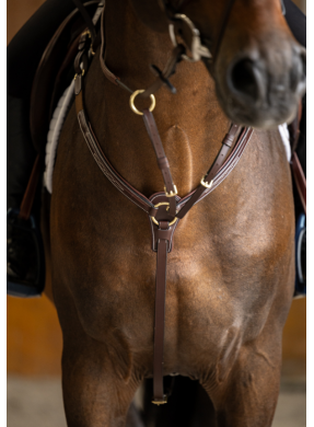 Collier de chasse HFI PRO LINE "Arrezo"
