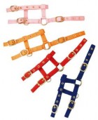 Licol Mini Foal reglable
