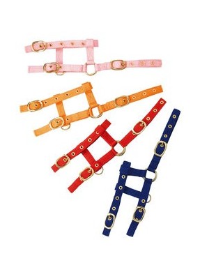 Licol Mini Foal reglable