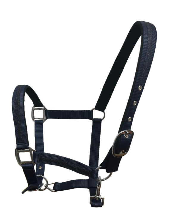 Licol + longe F&C "Atamik"